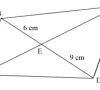 Similarity – Ratios Fetish