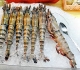 The Great Tiger Prawn Massacre