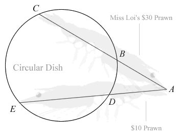 Tiger Prawn Plane Geometry