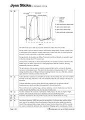 O-Level 2009 October/November Biology 5094 Paper 1 Suggested Solutions