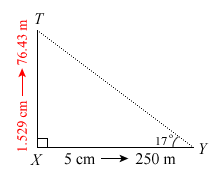 Angle of Elevation Answer Diagram