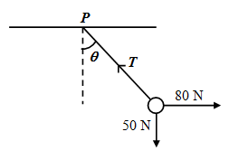 Physics sample MCQ 5 diagram