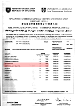 Jacqueline's O-Level Certificate