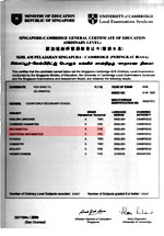 Shao Yu's O-Level Certificate